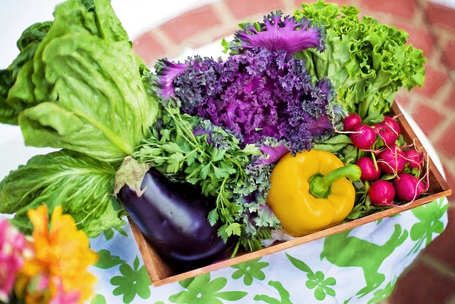 Workshop de Nutrição